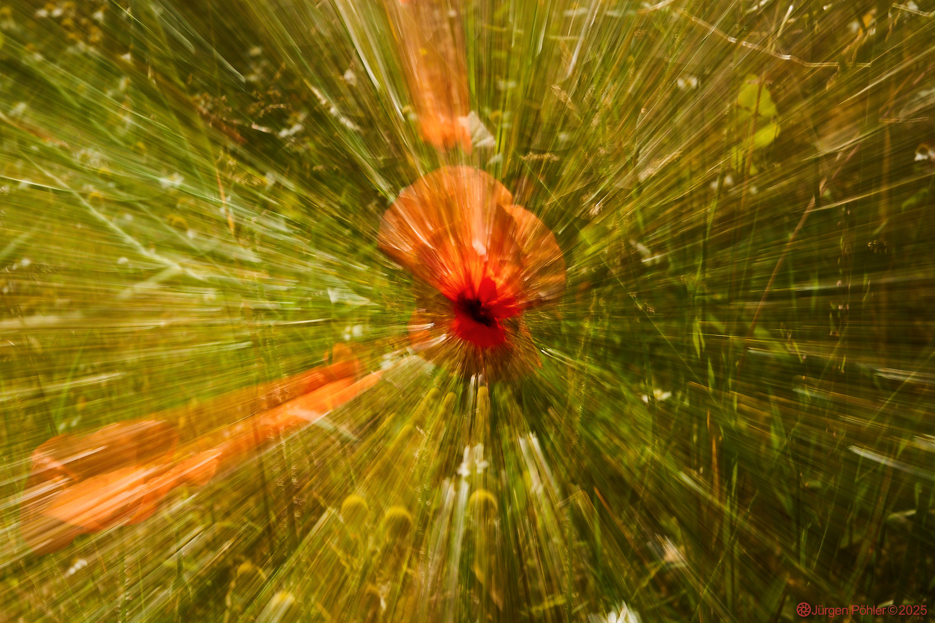 20250622 ILCE 6700 100014