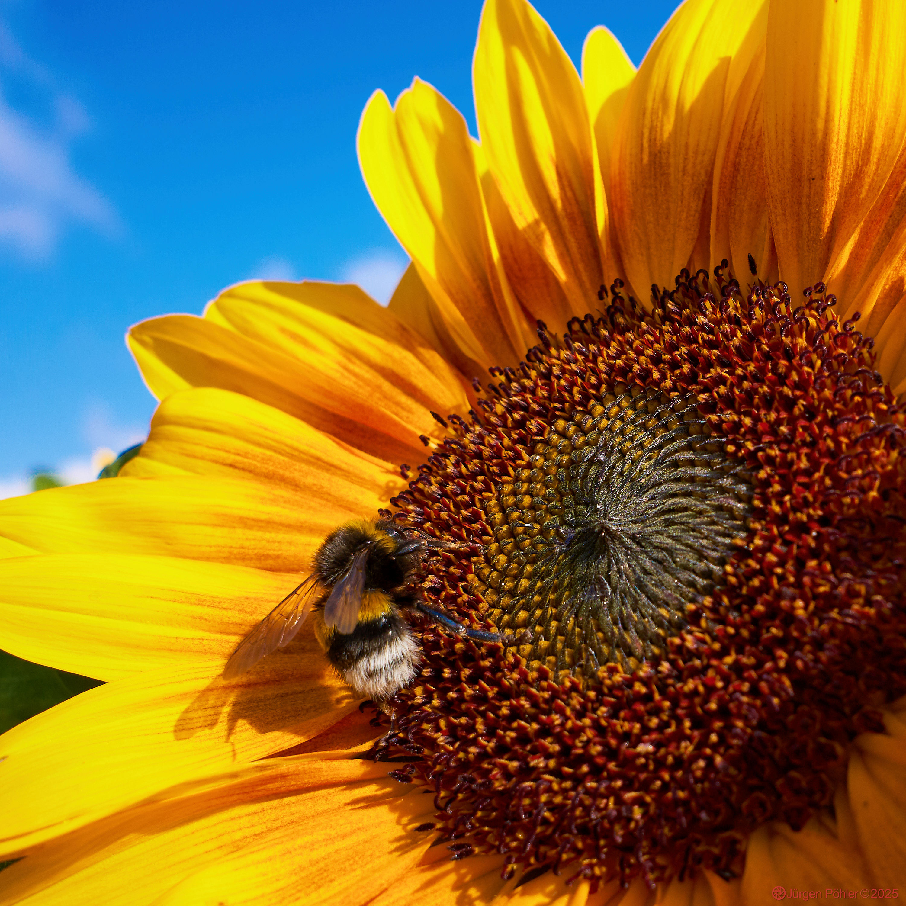 20250703 ILCE 6700 085043